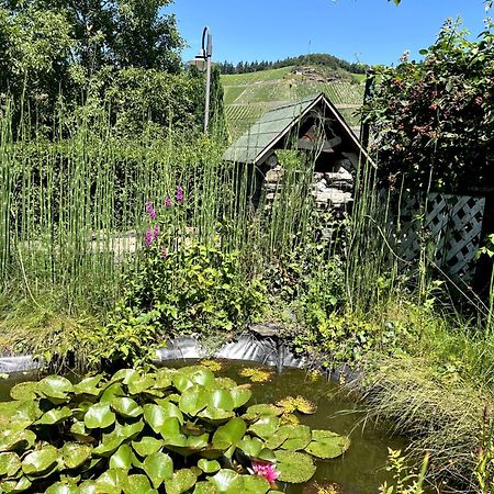 Landhaus Martina 브라운버그 외부 사진