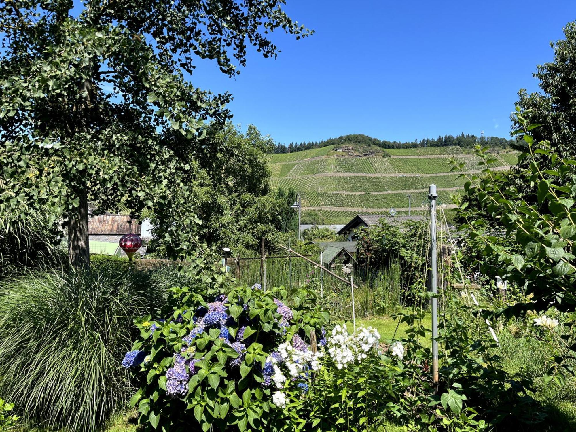 Landhaus Martina 브라운버그 외부 사진